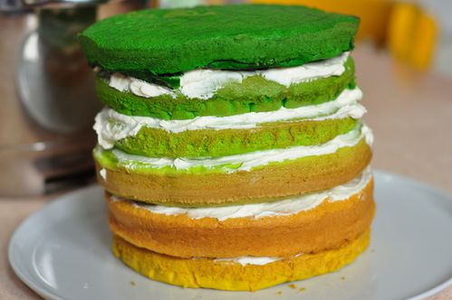 Layer Cake Olivier (3)