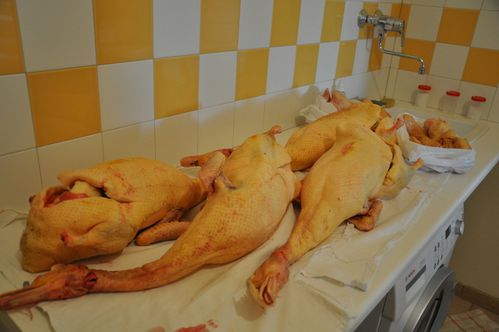 Stage foie gras confits 2013 (10)