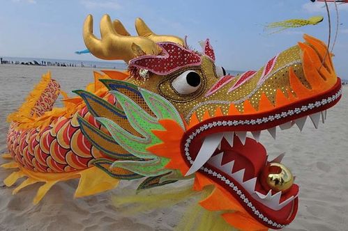 le dragon chinois