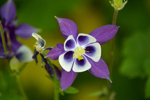 CORRESPONDANCE---Frederic-Partie-18.jpg