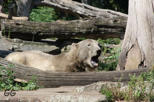 Kopie-von-August-09_2017_Gr--enver-nderung.jpg