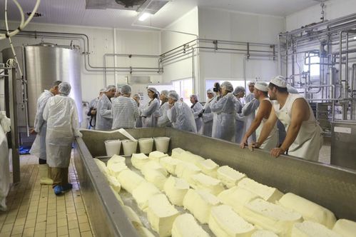fromagerie-copie-1.jpg