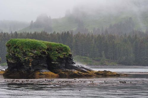 010 KODIAK WHALE PASSAGE