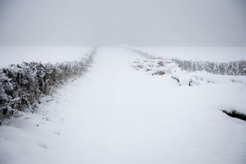 Neige.JPG