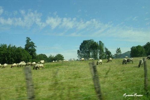 DSCN0828