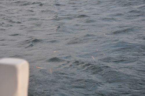 septembre-2011 0295