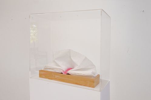 Livre objet , organdi, socle bois. 2011