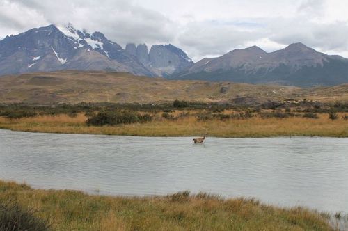 Torres-del-Paine-4.JPG