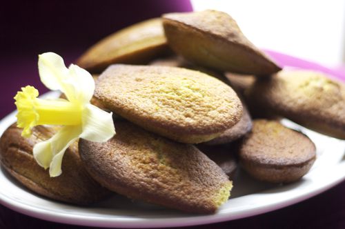 Recette de madeleines au thé matcha et au chocolat – Anatae