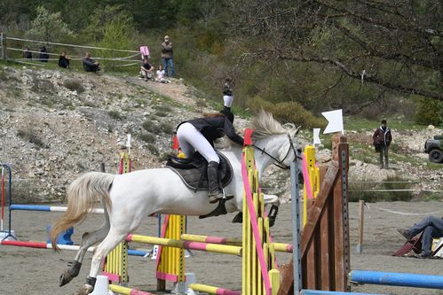 concours-20chambaresc-206-20mai-202012-20016.jpg