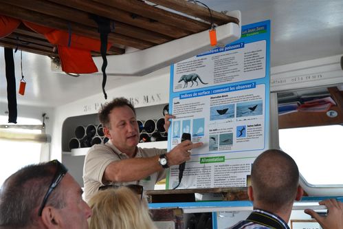 2012 03 17 Sortie Heures Saines (3) (Grand)