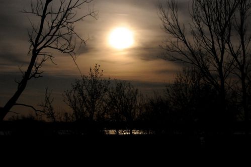 F12_0696.JPG