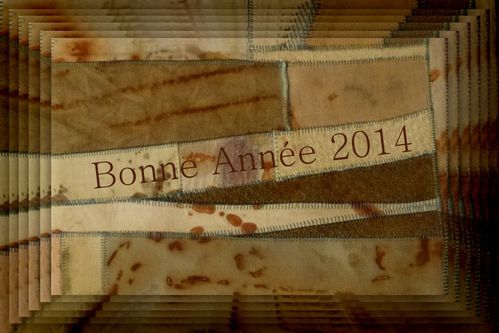 2014-01-Voeux