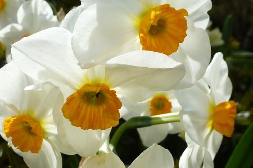 2013-04-20-DeMaFenetre#16 (1)