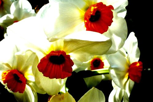 2013-04-20-DeMaFenetre#16 (2)