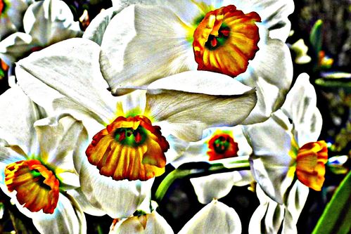 2013-04-20-DeMaFenetre#16 (3)