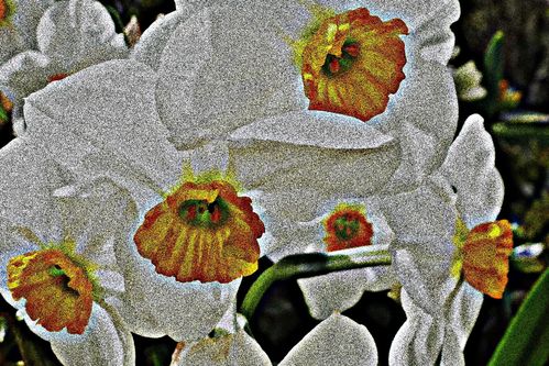 2013-04-20-DeMaFenetre#16 (5)