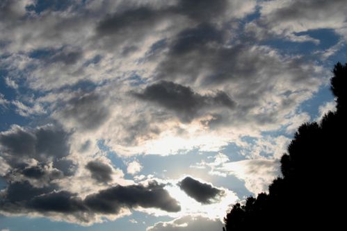 A--PHOTO 2955