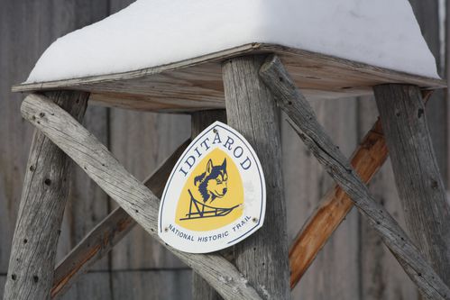 IDITAROD 6011
