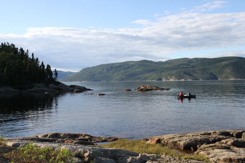 Route-des-baleines-et-mammiferes-marins-du-Quebec-2012-1031.JPG