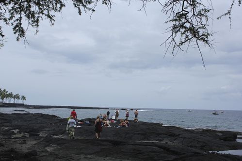 dauphins-kona--big-island-1933.jpg