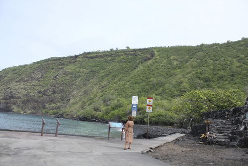 dauphins-kona--big-island-1949.jpg