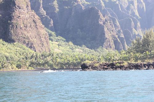hakaui t et g 020 (Copier)