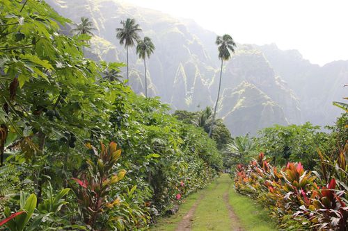 hakaui t et g 208 (Copier)