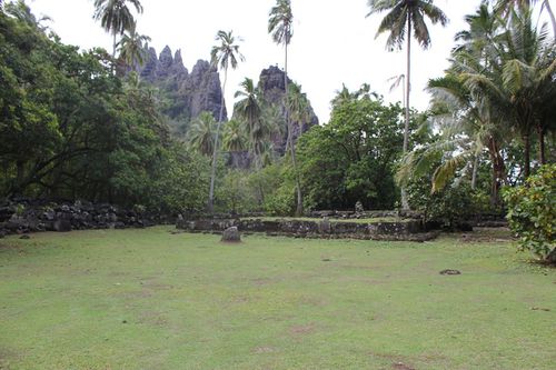 Hikokua1