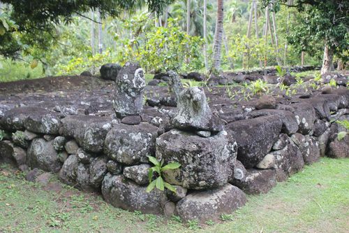 Hikokua2