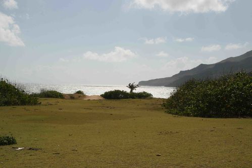 Haatuatua