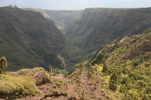 NukuHiva4 015