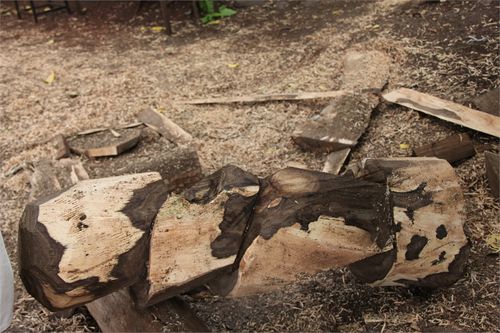 arbre et sculpteur 019
