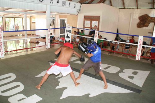BOXE UA POU 048