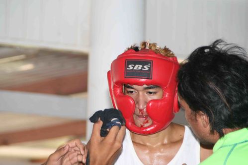 BOXE UA POU 095