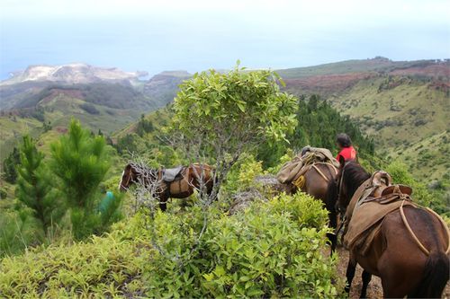 chasse Hautea 6