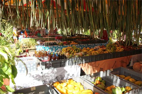 foire agricole1 021