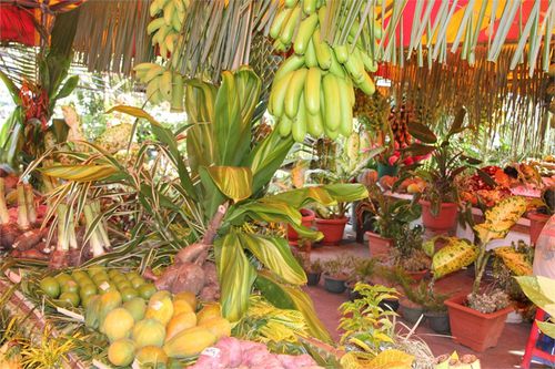 foire agricole1 022
