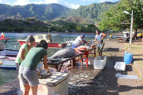 port Taiohae 4