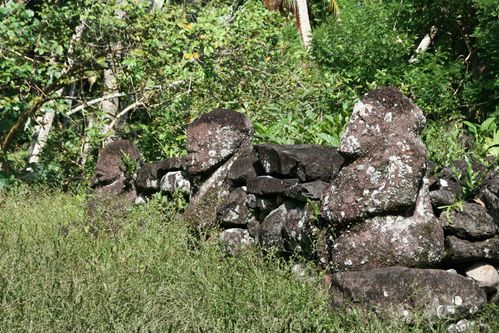 paeke taipivai