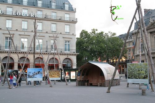 012-copie.jpg