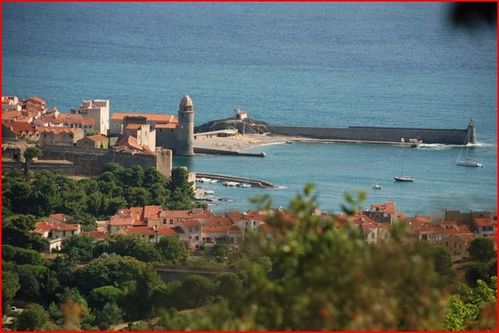 collioure.JPG