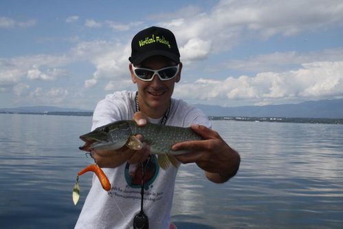 2012-Leman-broc-Oliv.JPG