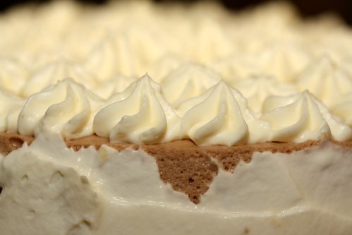 entremet citron praliné (7) modifié-1