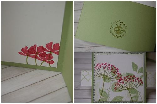 PHOTO POUR BLOG86