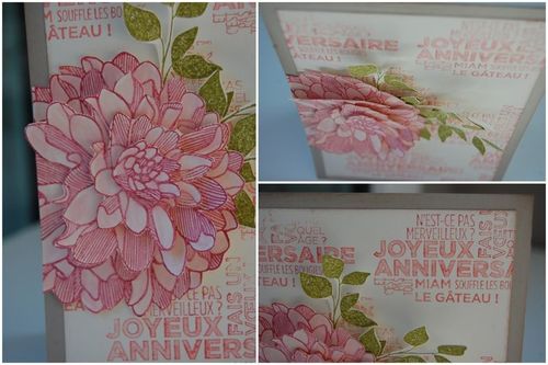 PHOTO POUR BLOG27