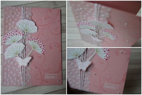 PHOTO POUR BLOG33
