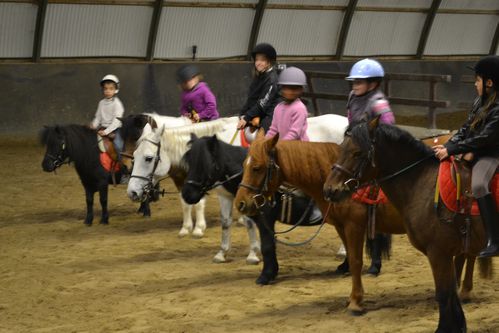 PONEY-0012.JPG