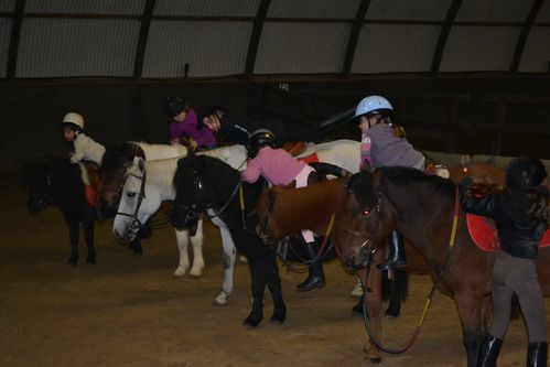 PONEY-0013.JPG