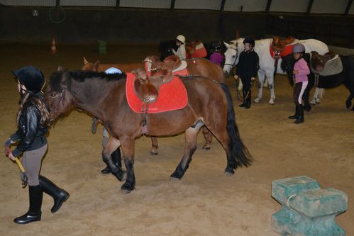 PONEY-0015.JPG